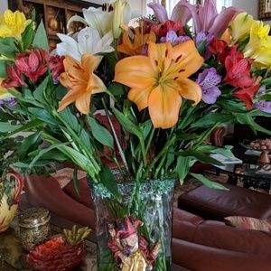 Meet your Posher, Treva